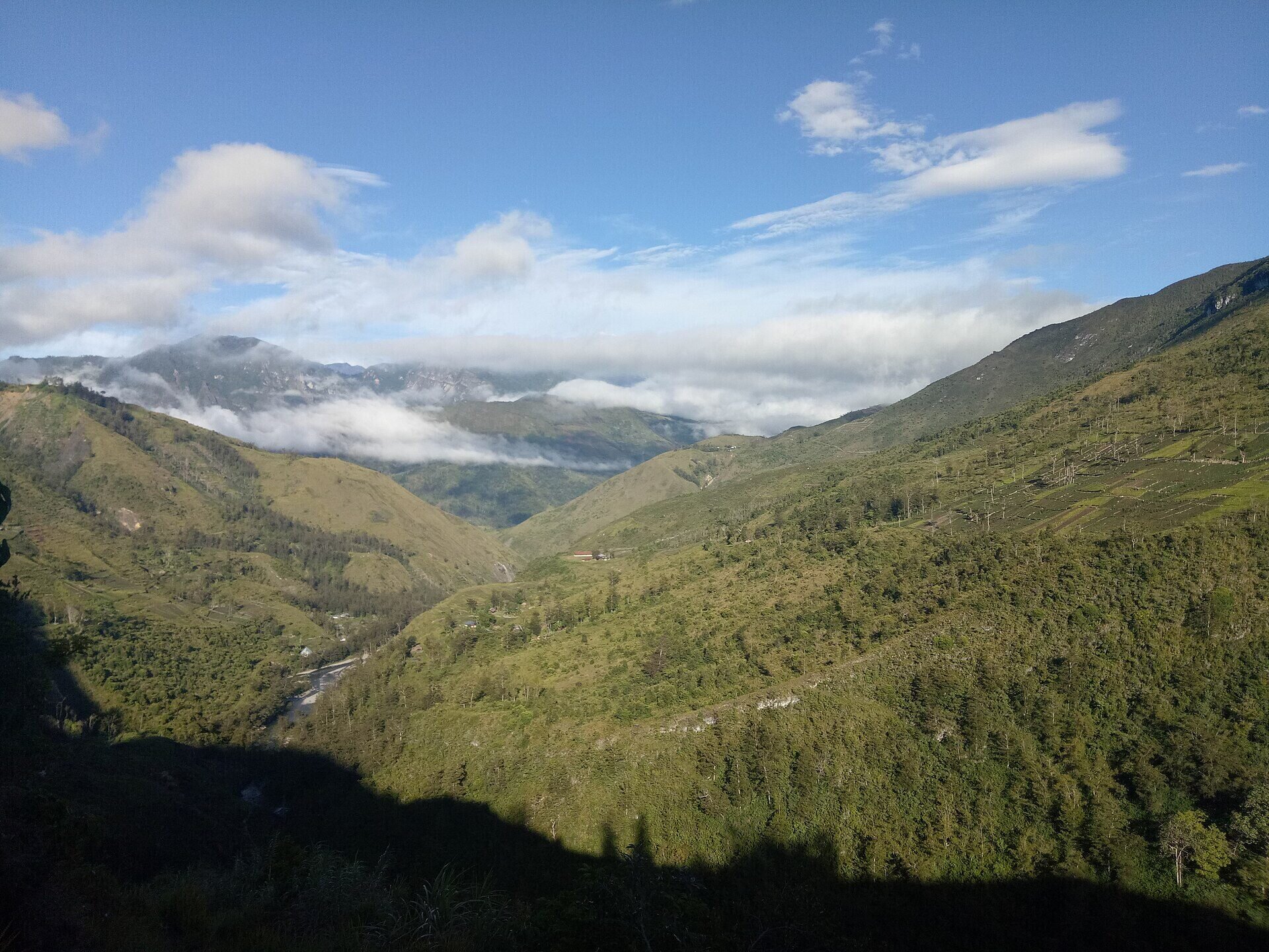Lembah pegunungan Papua dengan lahan hijau dan perbukitan.