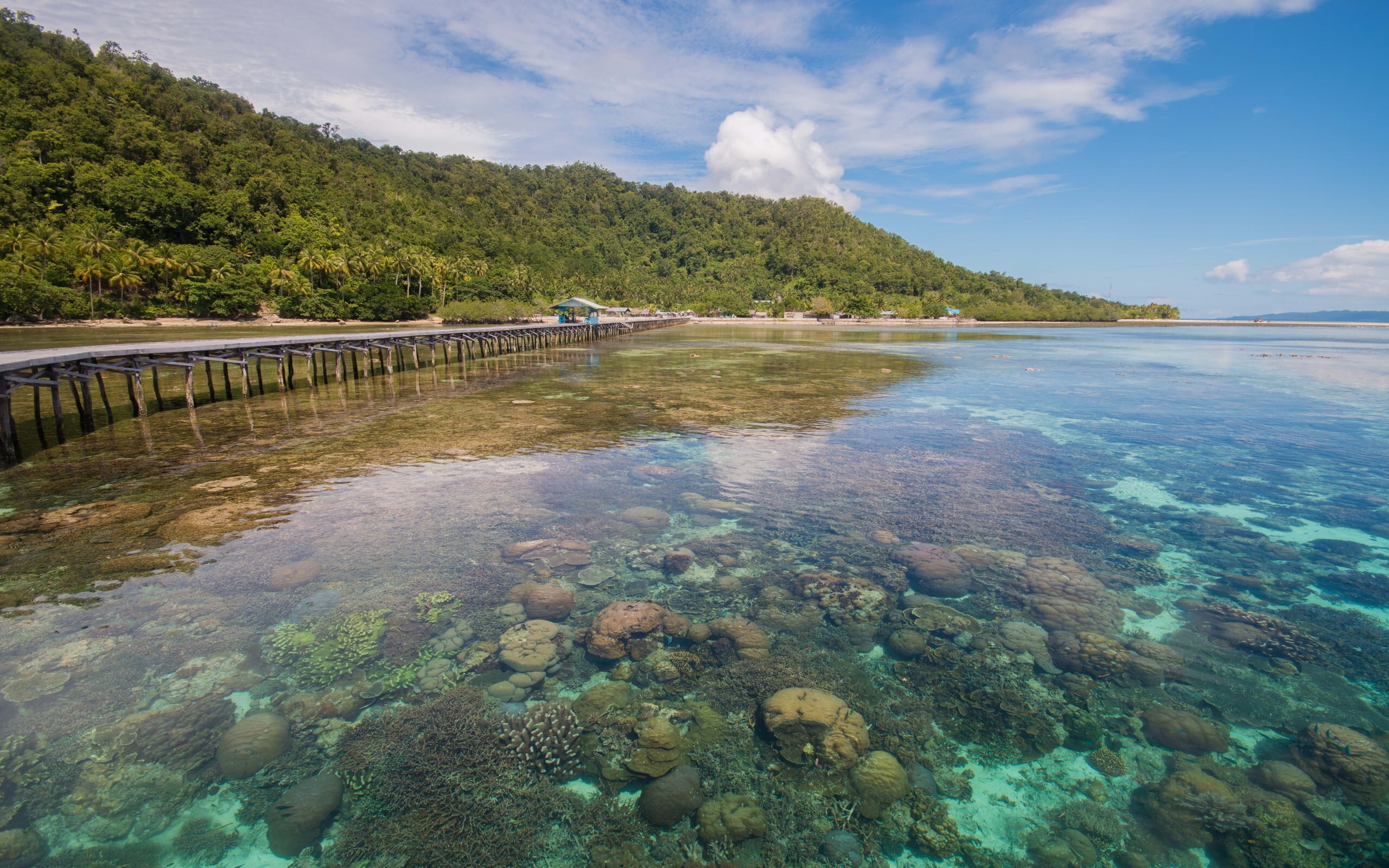 Pemandangan pesisir dan perbukitan Papua
