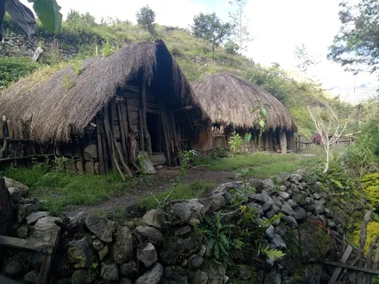 Bentang hijau Lembah Baliem dengan pegunungan di kejauhan.